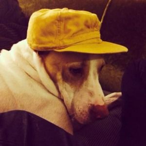 Meet your Posher, Stach